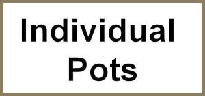 Individual Pots